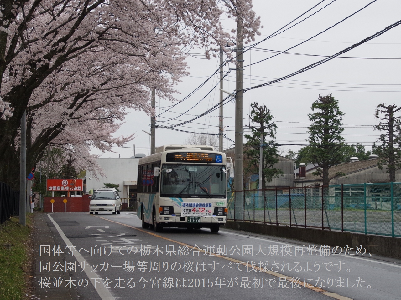 ���J�̍����؂̉��𑖂鍡�{�z���i2015�N�S���j�B���̂Ɍ����Ă̐����̂��ߑS�Ĕ��̂����悤�ł��B