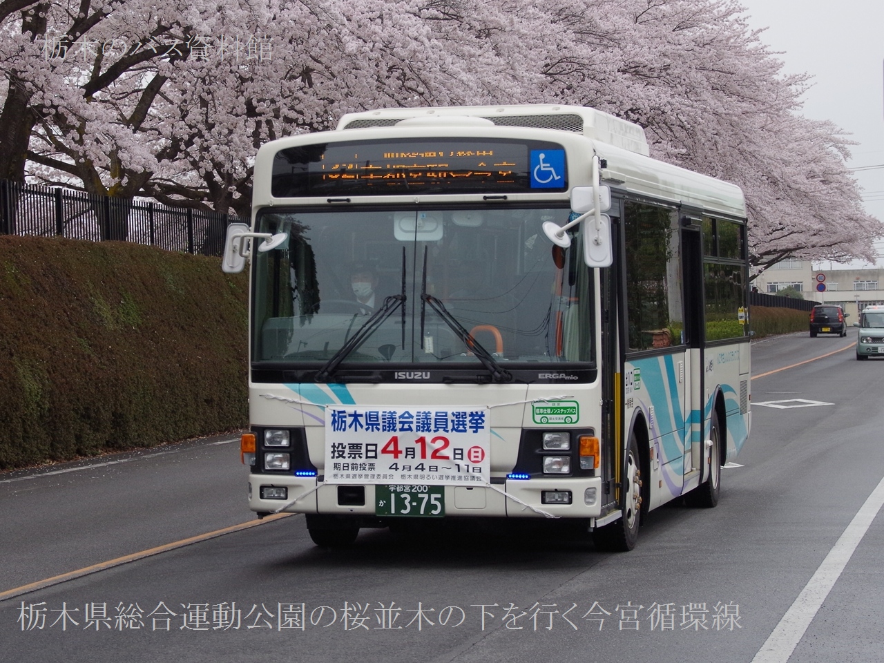 �����؂̉����s�����{�z���i2015�N�S���T���j